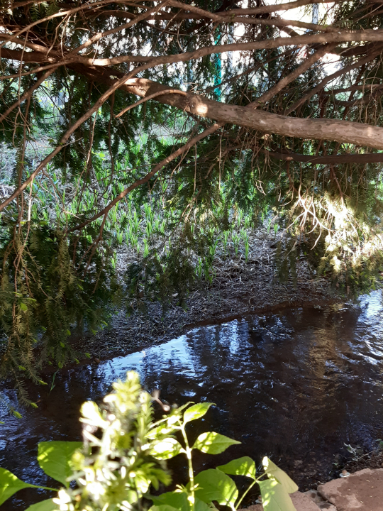 FLÓRA VENDÉGHÁZ - Lovas