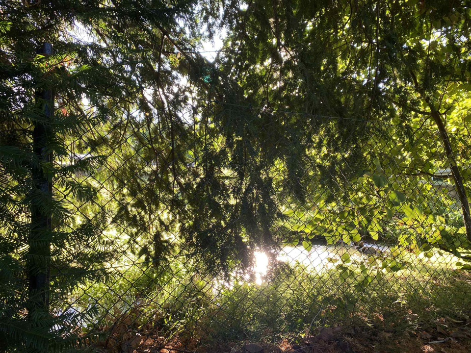 FLÓRA VENDÉGHÁZ - Lovas