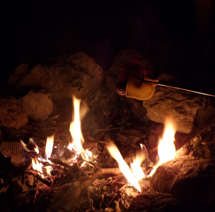 FLÓRA VENDÉGHÁZ - Lovas