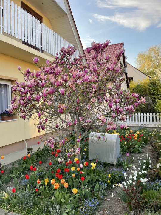 Leander Vendégház - Keszthely