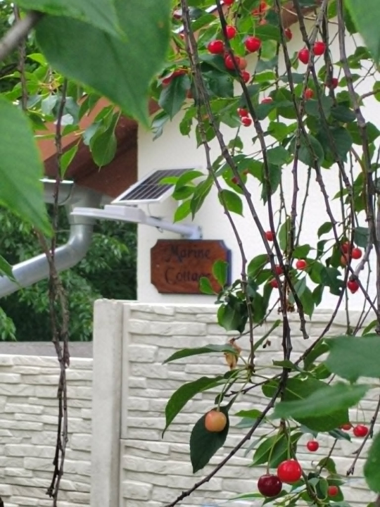 Marina Cottage - Enying
