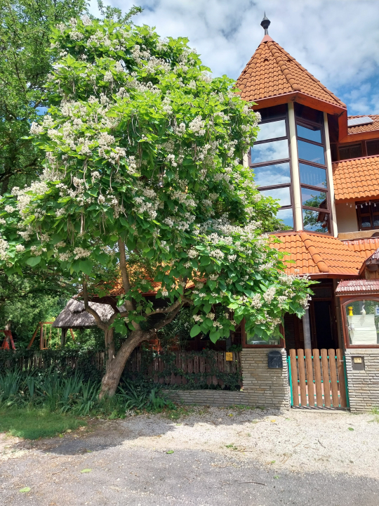 Porkoláb Apartmanház - Gyenesdiás