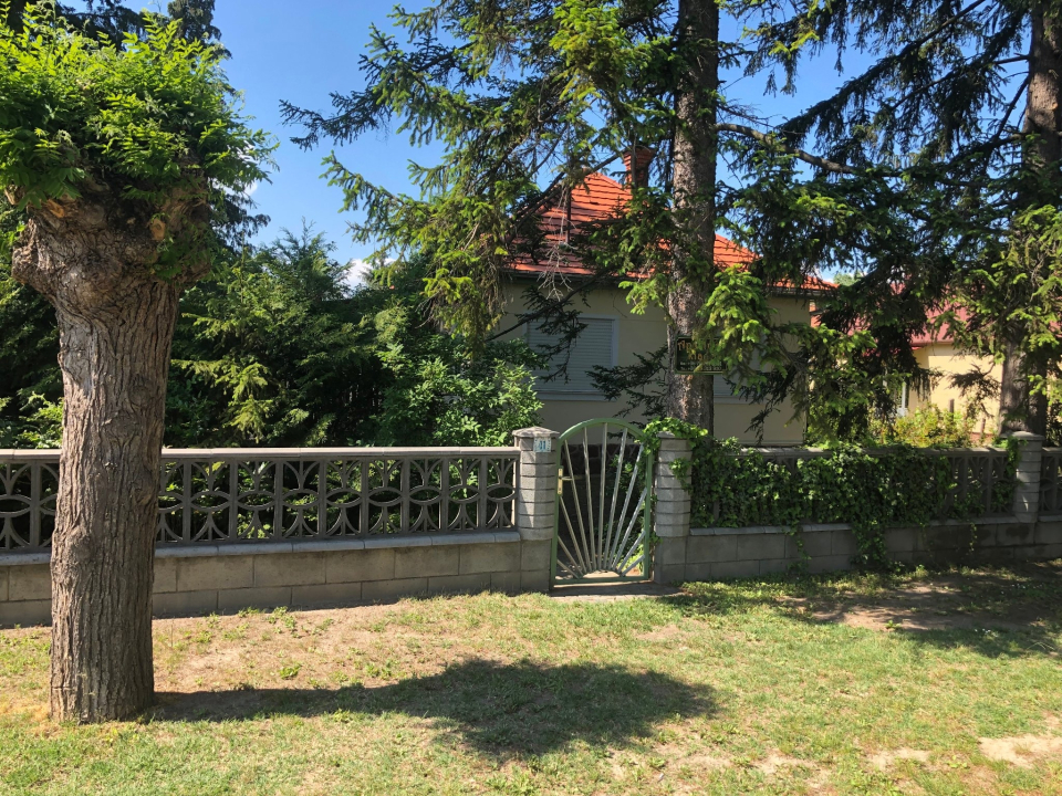 Zöldfenyő Apartman